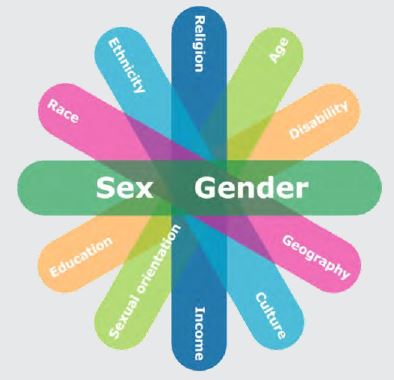 Analyse comparative entre les sexes plus