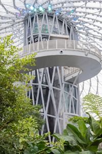 An indoor waterfall inside a tropical biome.